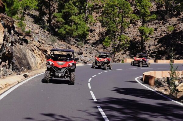 Tenerife Buggy - Image 2