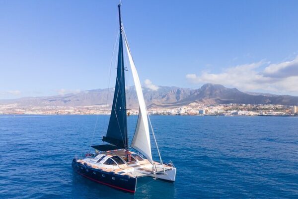 Tenerife, dolphin watching, Catamaran, sunset, glass bottom boat