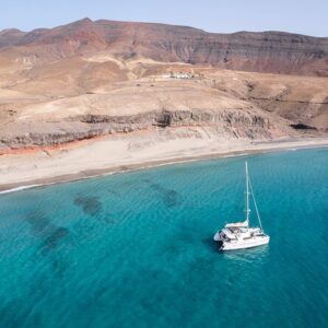 Dolphin Watching in Fuerteventura