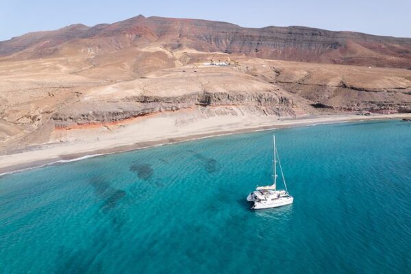 Dolphin Watching in Fuerteventura