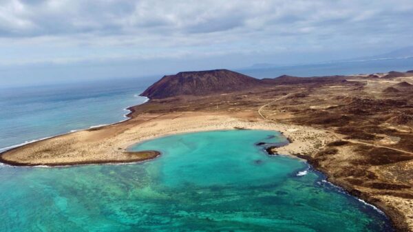 Lobos Island - Image 5
