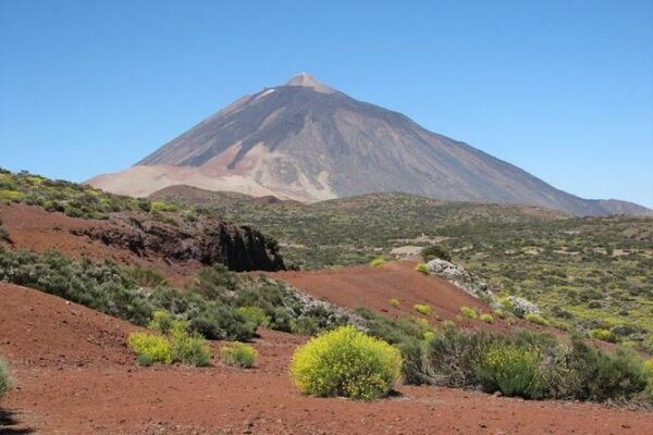 Tenerife Tours - Image 4