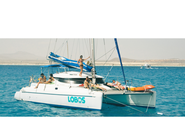 canary-tickets.com Private catamaran excursions, food and drinks, paddle boards, snorkeling all inclusive