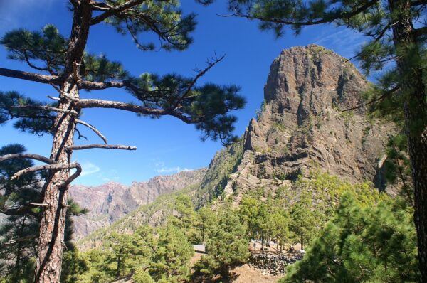 La Palma - Image 2