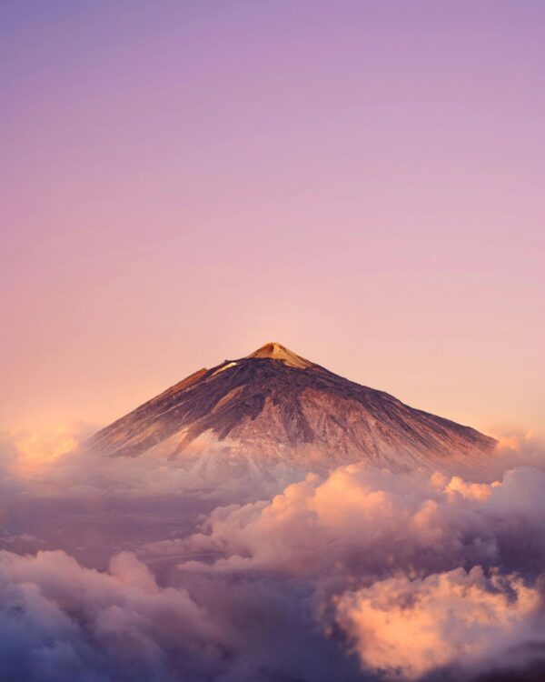 Tenerife things to do, excursions, jet ski, Catamaran, dolphin watching